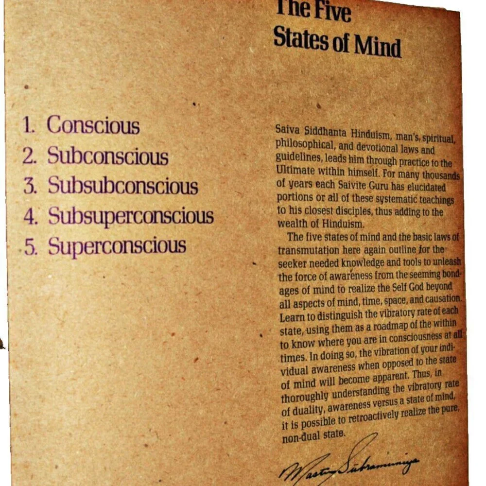 Meditation Energy Health Raja Yoga Master Book Hardcover